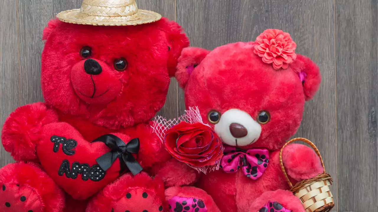 teddy day